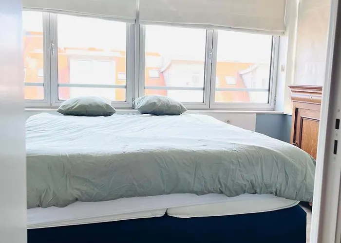 Zee Tyd 니우포르트